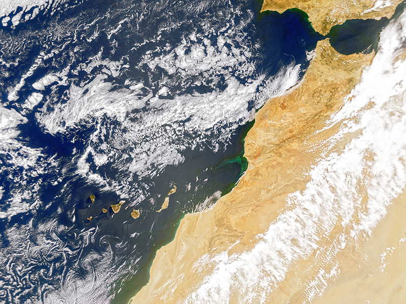 Swirls & Filaments Near the Canary Islands