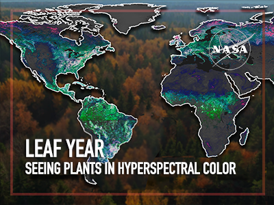 Leaf Year: Seeing Plants in Hyperspectral Color