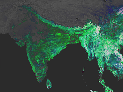 PACE Land Vegetation Data: India
