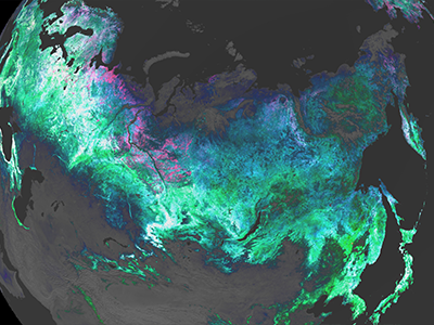 PACE Land Vegetation Data: Siberia