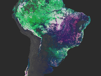 PACE Land Vegetation Data: South America