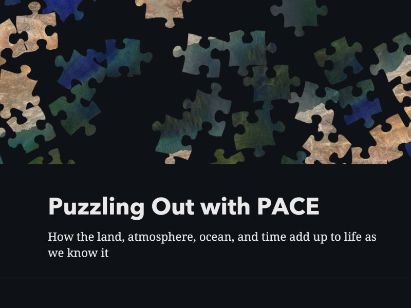 Puzzle pieces